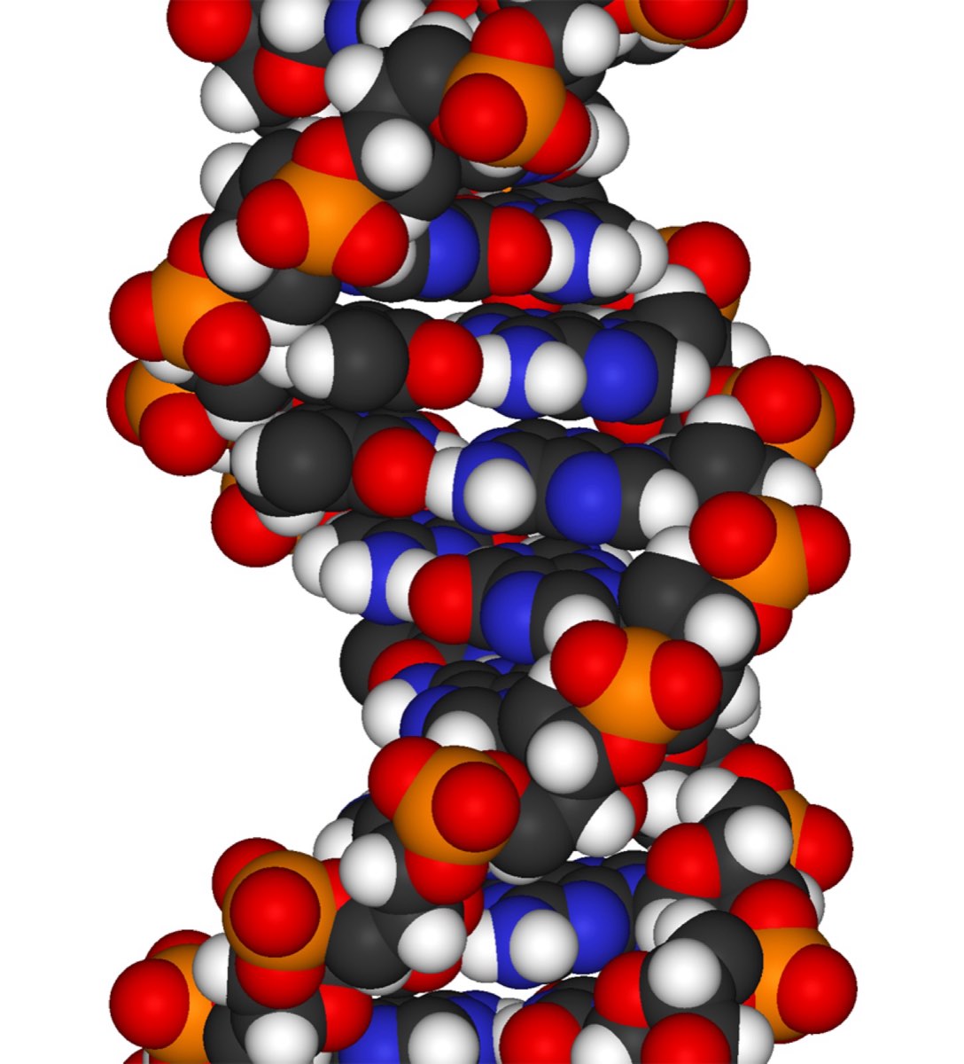 Morgan algorithm for unique atom numbering in molecules